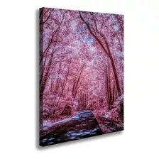 Tela Quadro Grande Rosa Luxo Delicado Decoração Sala Quarto Cor Borda Infinita