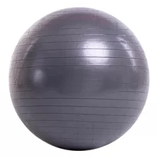 Balon Fisiologico 65 Cm Pelota Esferodinamia Fit Ball