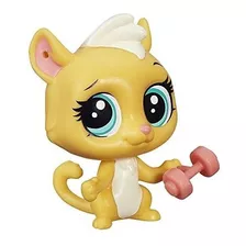 Littlest Pet Shop Obtén Las Mascotas Paquete Individual Gerr