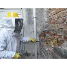 Abejas ( Retiramos Tu Enjambres) 