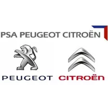 Diagnóstico Peugeot Citroen