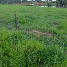 Vendo Propriedade Rural 330 Ha Em Boca Do Acre/am