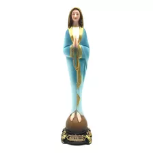 Imagem Nossa Senhora Do Silêncio 20 Cm - Resina Premium