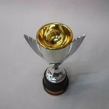 Troféu Taça M: 25 Cm