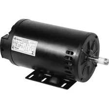 Motor Trisáfico 5cv 2 Polos 220/380v P-21 N56 60hz Nova