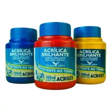 Kit Com 12 Tinta Acrilica Brilhante 100ml Acrilex