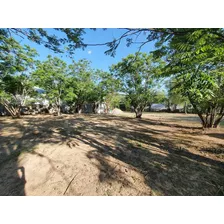 Terreno Comercial En Renta En Carretera Nacional