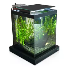 Aquário Quili Blackbox Nano 10l Completo + Decoração Natural