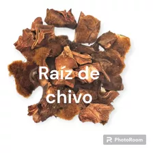 Raíz De Chivo Pez Medicinal 100% Natural