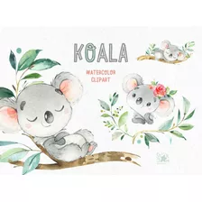 Clipart Bello Koala Acuarela 1