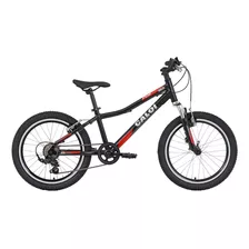 Bicicleta Infantil Caloi Wild Xs Aro 20