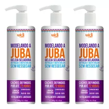 Kit 3 Geleia Seladora Widi Care Modelando A Juba Definição