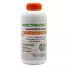 Insecticida Organico Para Pulgones Y Trips De Tus Cultivos