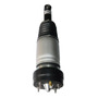 Amortiguador Trasero C2c41340 Para 2004-2010 Ja-guar Xjr, Xj