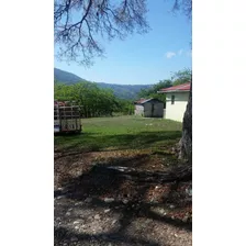 Te Vendo Excelente Finca En El Cupey De Puerto Plata