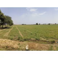 Terreno 3.60 Hectáreas En Agua Santa San Clemente De Pisco 