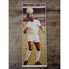 Recorte Santos Brasil Pele