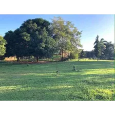 Vendo Finca De 1050 Tareas En San Pedro De Macoris