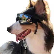 Gafas De Sol Para Perro Anti-uv Protector De Ojos Ajustable