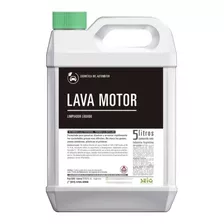 Lava Motor Seiq Por 5 Lts