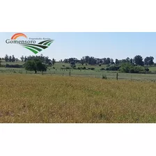 San José Campo Agrícola Ganadero Costa Rio San José Sobre Acuífero Raigón