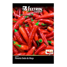 Sementes De Pimenta Dedo De Moça Feltrin