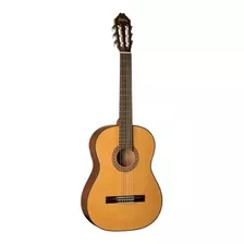 Guitarra Acustica Washburn C40 Garantia / Abregoaudio