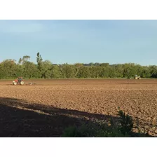 Excelente Campo De 24 Hectáreas Agrícola-ganadero En Los Cerrillos, Canelones 