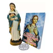 Virgen De La Dulce Espera 19cm En Porcelana + Novena