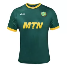 Camiseta Rugby Springboks Imago Hombre Sudafrica