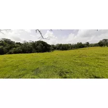 Te Vendo Excelente Finca En Nagua 