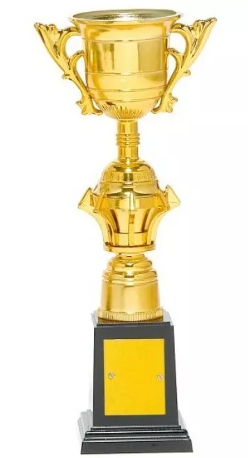 Troféu Taça Dourada 28cm