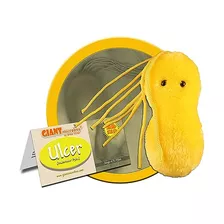 Giantmicrobes Helicobacter Pylori Úlcera Ciencia Kit.