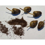 Tercera imagen para búsqueda de semillas de tabaco