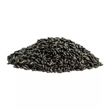  Arroz Negro Sementes Orgânico