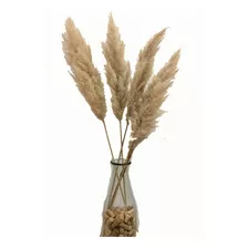 Pampa Grass Flores Secas Oferta X 3 Varas Ramo Decorativo