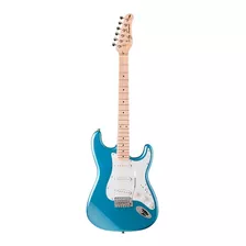 Guitarra Eléctrica Jay Turser Stratocaster Jt-300m