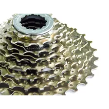 Rueda Libre Tipo Sprocket De 8 Pasos De Acero Strong