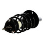 Coilovers Ford Focus Se 2008 2.0l
