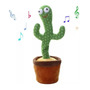 Tercera imagen para búsqueda de cactus bailarin