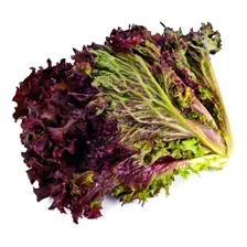 Semillas De Lechuga Roja, Red Salad Para Huerto En Casa.