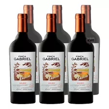 Vino Finca Gabriel Malbec Bodega Jorge Rubio X 6 Unidades