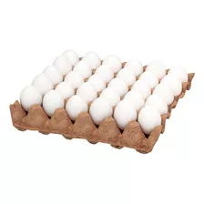 Huevo Fertil Gallina Leghorn 16 Huevos Ya Incluye Envío 