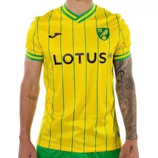 Camiseta Norwich City Talla Xl