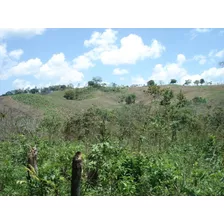 Finca Ganadera De 1370 Tareas Ganadera En San Cristobal Recibo Parte En Permuta De Apartamento Santo Domingo Centro Y Vehiculos 