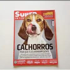 Revista Super Interessante Cachorros N°263 Z460