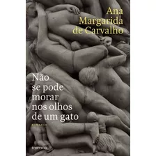 Livro Fisico - Não Se Pode Morar Nos Olhos De Um Gato