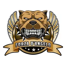 Forza D'angelo