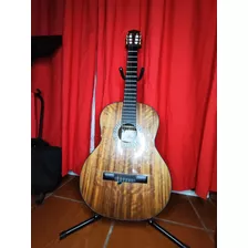 Guitarra Acústica Marca Palmer, Barniz Mate, Madera De Nogal