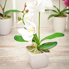 Orquídea Blanca De Imitación Fiore - Maceta Blanca - Plantas